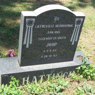 HATTINGH Joop 1954-1993