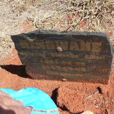 HINGWANE 1981-2007