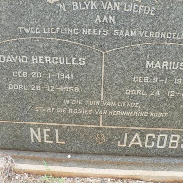 JACOBS Marius 1939-1956 :: NEL David Hercules 1941-1956