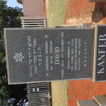 KANFER David -1982