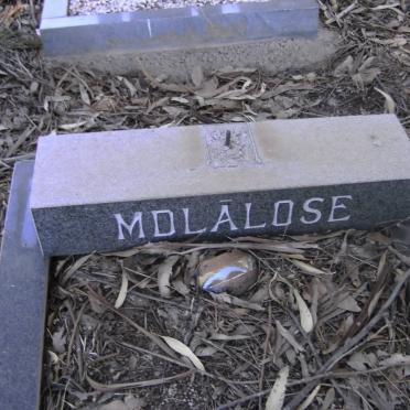 MDLALOSE