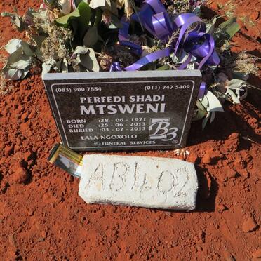 MTSWENI Perfedi Shadi 1971-2013