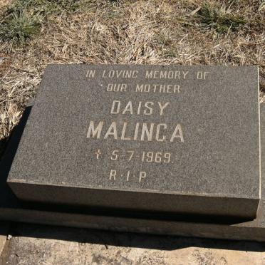 MALINGA Daisy -1969