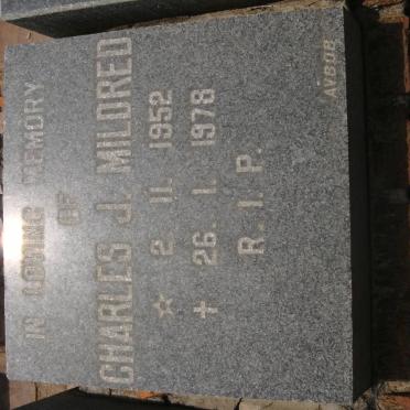 MILDRED Charles J. 1952-1978