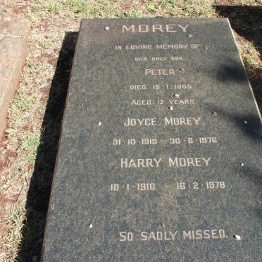 MOREY Harry 1916-1978 &amp; Joyce 1919-1976 :: MOREY Peter -1965