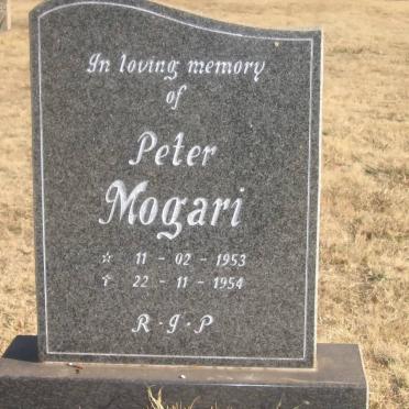 MOGARI Peter 1953-1954