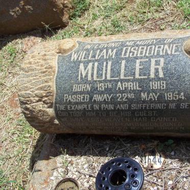 MULLER William Osborne 1919-1954
