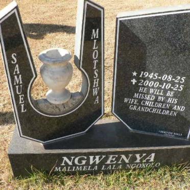 NGWENYA Samuel Mlotshwa 1945-2000