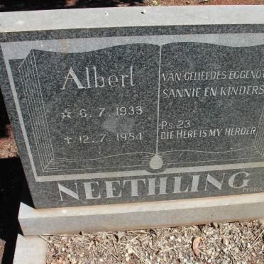 NEETHLING Albert 1933-1984