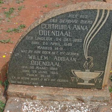 ODENDAAL Willem Adriaan 1888-1955 &amp; Gertruida Anna LINDEQUE 1890-1949