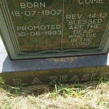 PEASLEY W.R.A. 1907-1993