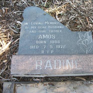 RADINE Amos 1888-1972