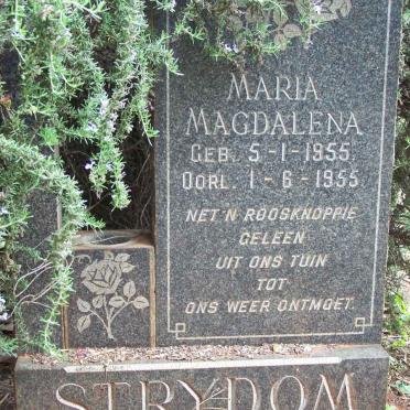STRYDOM Maria Magdalena 1955-1955