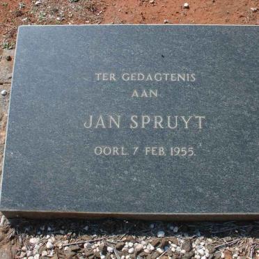 SPRUYT Jan -1955
