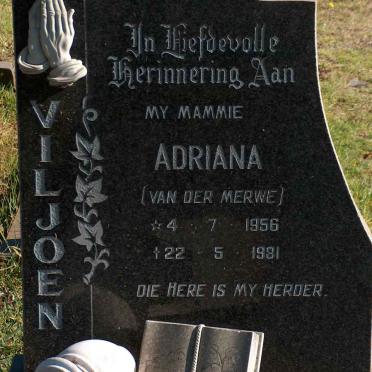 VILJOEN Adriana nee VAN DER MERWE 1956-1981