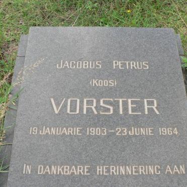 VORSTER Jacobus Petrus 1903-1964