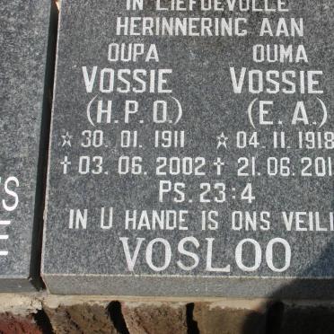 VOSLOO H.P.D. 1911-2002 &amp; E.A. 1918-2011