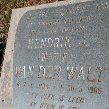 WALT Hendrik J., van der 1934-1988