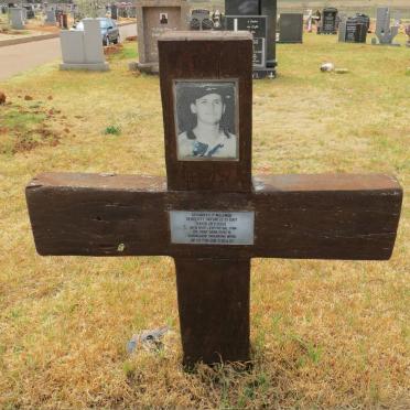 WILLEMSE Gerhardus P. 1967-2003