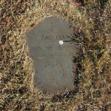 ? Ameleka 1946-1948