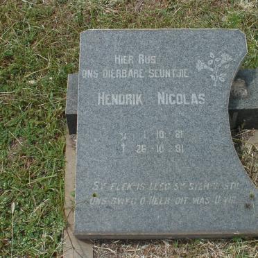 ? Hendrik Nicolas 1981-1981