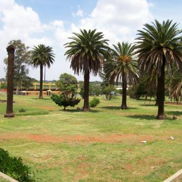 2. Overview