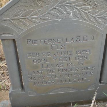 ELS Pieternella S.C.A. 1899-1899