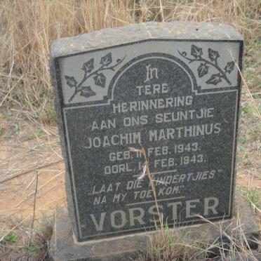 VORSTER Joachim Marthinus 1943-1943