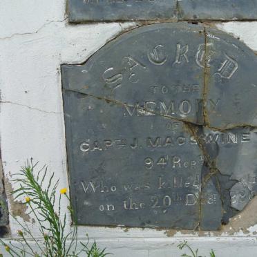 MacSWINEY J. -1880