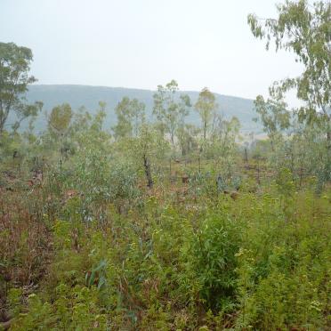 1. Overview 