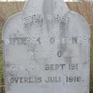 PRINSLOO Diederik Johannes 1917-1918