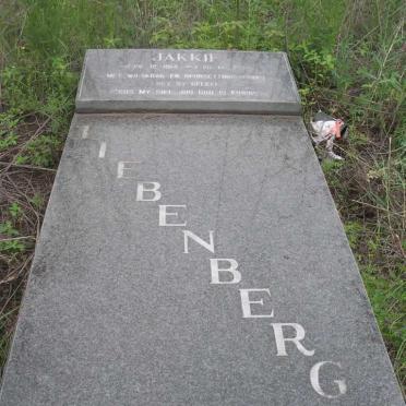 LIEBENBERG Jakkie 1914-1997 