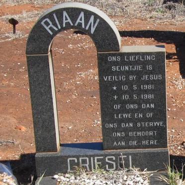 GRIESEL Riaan 1981-1981