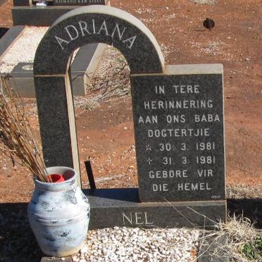 NEL Adriana 1981-1981