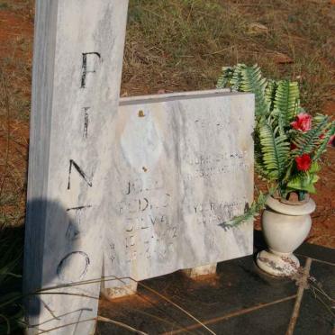 PINTO Jose Pedro Silva 1972-1991
