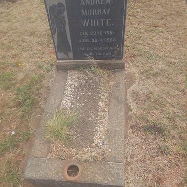 WHITE Andrew Murray 1951-1960