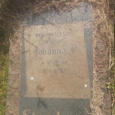 STEENKAMP Johanna P. 1964-1966