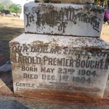 BOUGHER Harold Premier 1904-1904