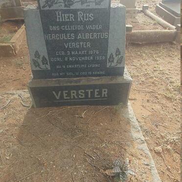 VERSTER Hercules Albertus 1876-1959