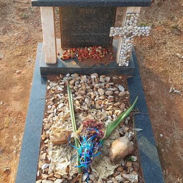 WYK Werner, van 2005-2006 _1