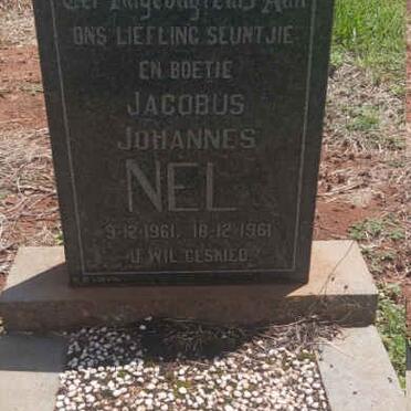 NEL Jacobus Johannes 1961-1961