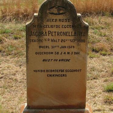 NEL Jacoba Petronella nee VD WALT 1898-1929
