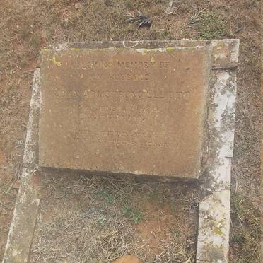 ELLIOTT John Armstrong -1924