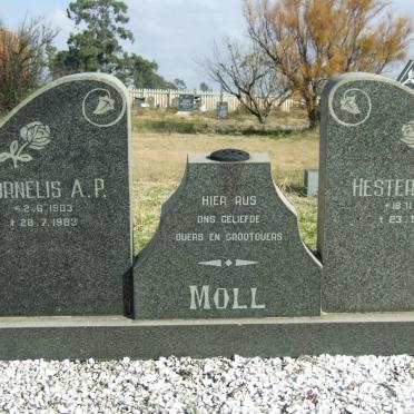 MOLL Cornelis A.P. 1903-1983 &amp; Hester M.L. 1910-1985