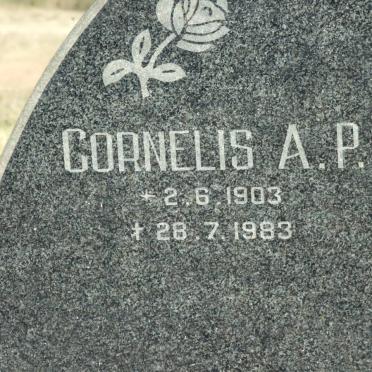 MOLL Cornelis A.P. 1903-1983