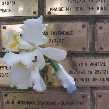 Gauteng, THREE RIVERS, Methodist Church, Memorial Wall