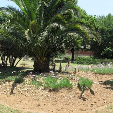 3. Overview
