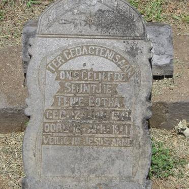 BOTHA Tenie 1941-1941