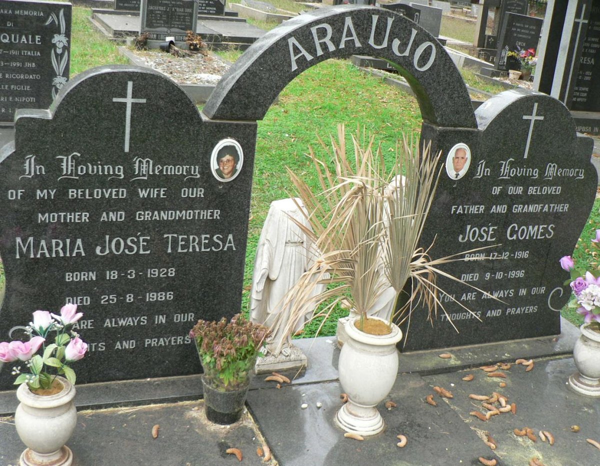 ARAUJO José Gomes 1916-1996 &amp; Maria José Teresa 1928-1986