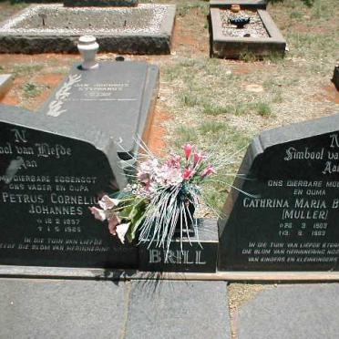 BRILL Petrus Cornelius Johannes 1857-1925 &amp; Cathrina Maria MULLER 1903-1993